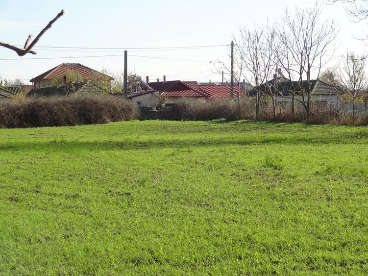 Teren cu casa, 3600mp, 4 camere de vanzare in Nicolae Balcescu - 3