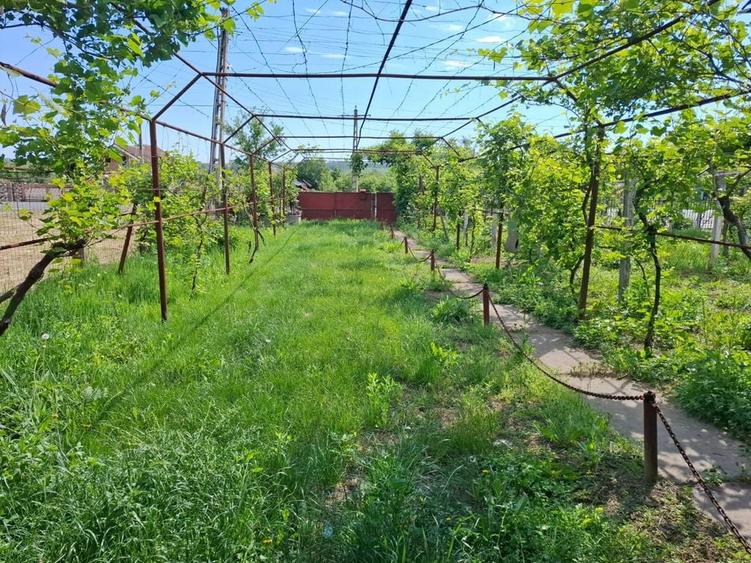 Casa + teren 1.000 mp, 20 m deschidere la strada principala, Vladuleni, Gorj - 5