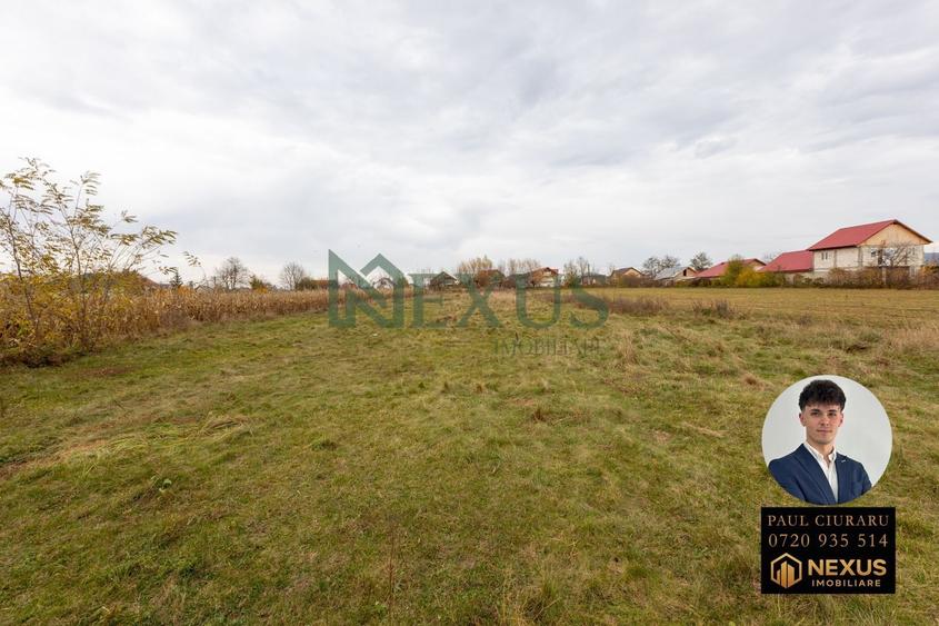 Teren Nicolae Bălcescu 3942 mp intravilan - 4