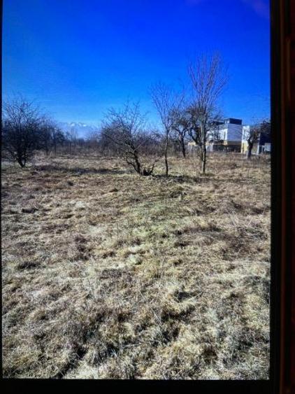 Teren vanzare 500 mp Livada Ghimbav - 2