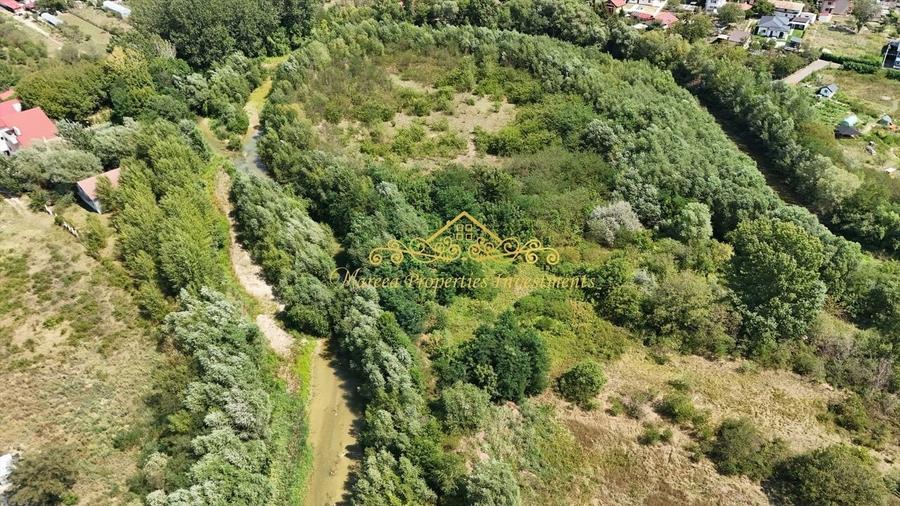 Teren Domnesti Vladimirescu, langa raul Ciorogarla - 3