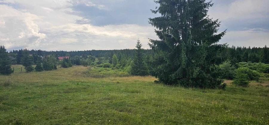 Teren de 3472 mp, în Beliș