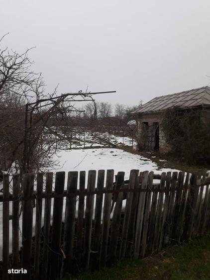 Vand Teren construibil + Arabil Sintesti Ilfov - 5