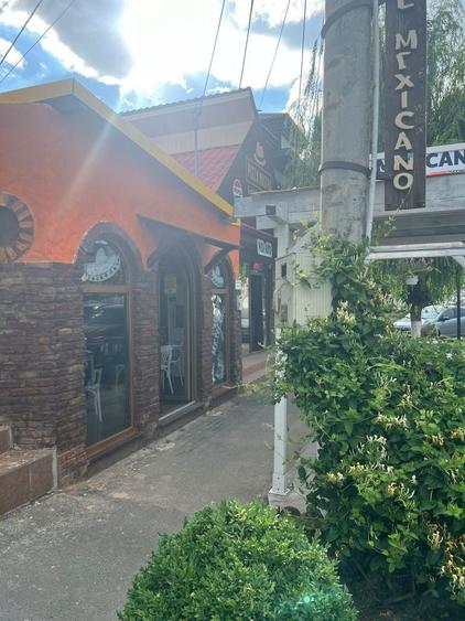 Vand casa locuit cu 2 spatii comerciale - 4