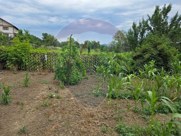Comision 0! Casa din inima Subcarpatilor -- comuna Cislau, teren 5000mp - 22