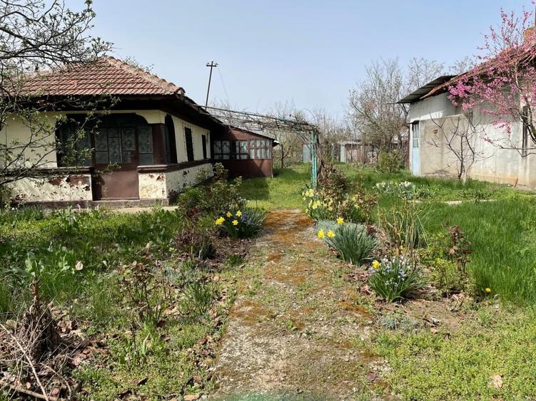 Vand 1644mp teren intravilan in sat Pasarea, comuna Frumusani, judetul Calarasi - 5