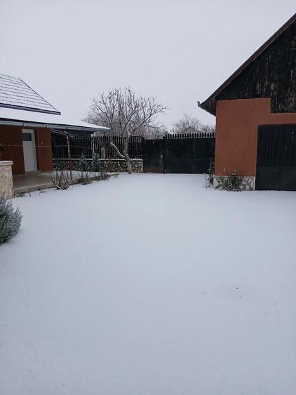 Casa de vanzare P+M, Ineu, jude?ul Arad - 2