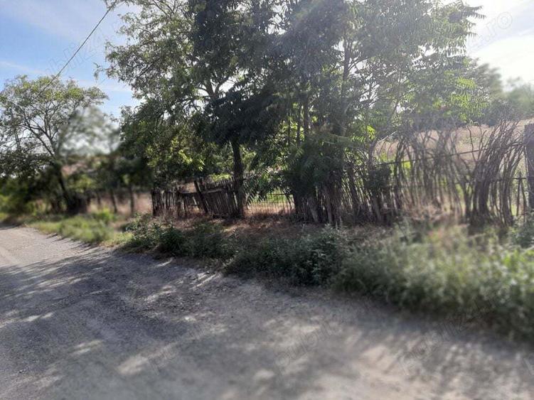 Teren Delta Dunarii - 3