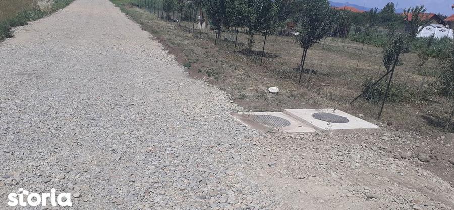 Teren de vanzare Ciugud - 5