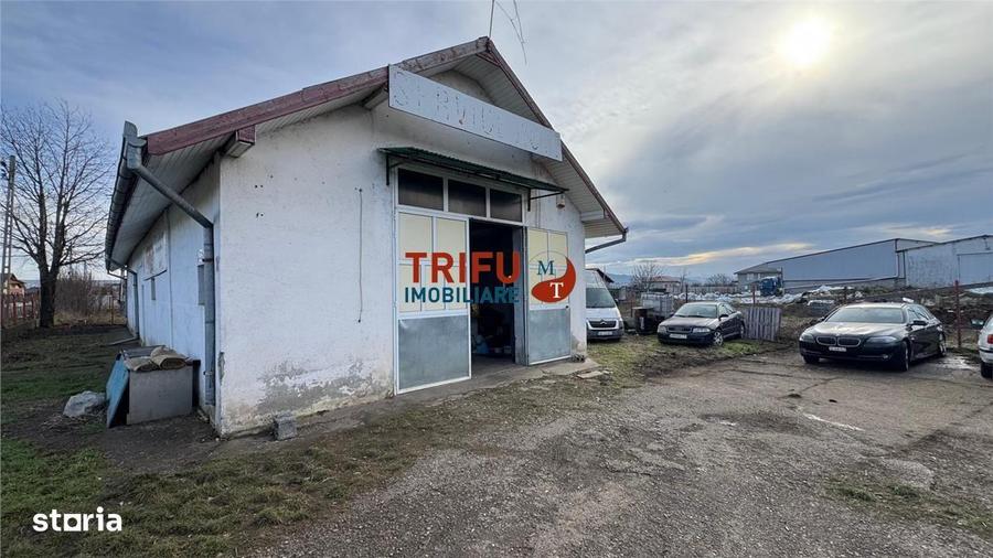 Hala industriala de vanzare in Santimbru - 2