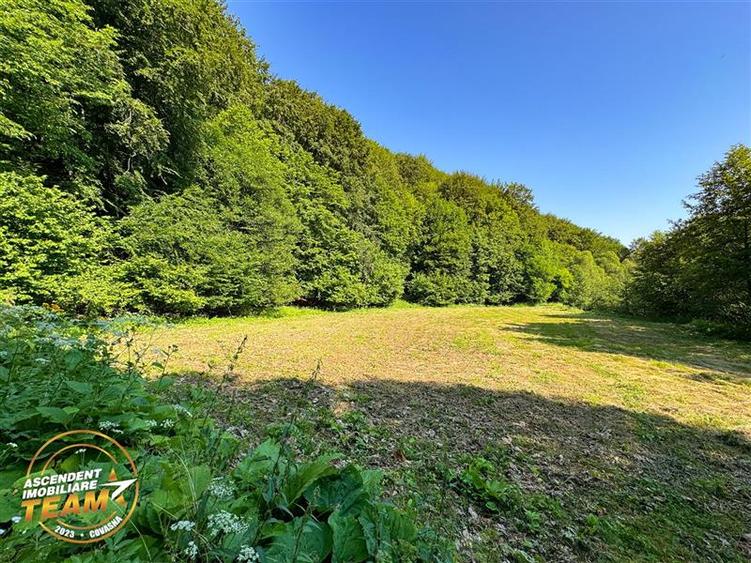 FILM! Teren extravilan pe 2.737mp,zona pretioasa,acces facil,Dobarlau,Covasna - 6