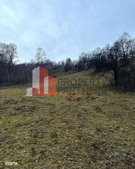 Casa autentica cu teren de 11.150 mp Bran, Simon | vedere Bucegi - 12