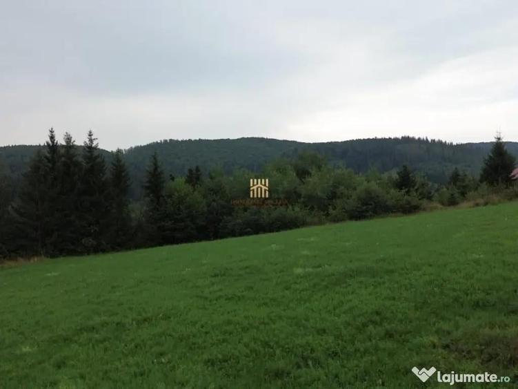 Teren 5023 mp In Bucovina Zona Manastirea Voronet De 07278 - 7