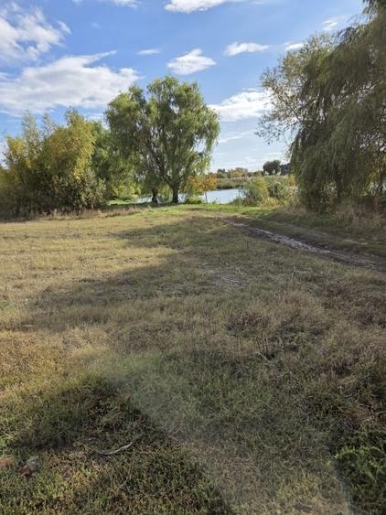 TEREN COREBACA LAGUNA ALBASTRA-3 m LAC - 9