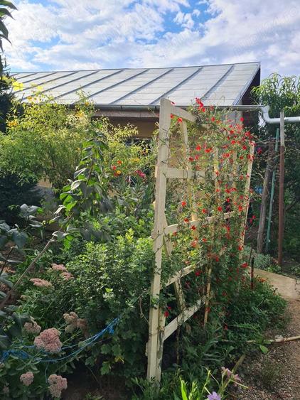 Vand Casa In Sendreni! - 3