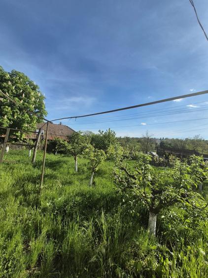 Casa de vanzare - 2