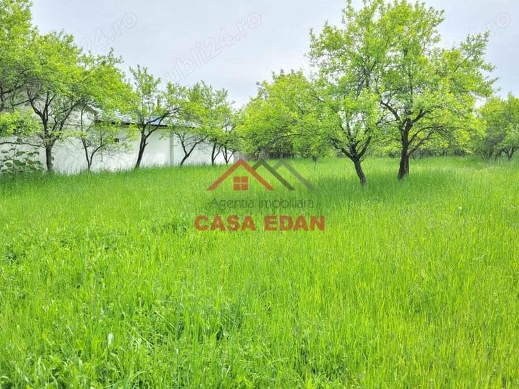 Teren intravilan in Scorteni--3999mp--55.000e - 1