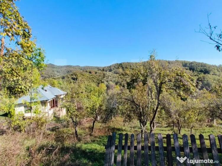 Teren cu priveli?te superba , livada ?i poten?ial casu? - 7