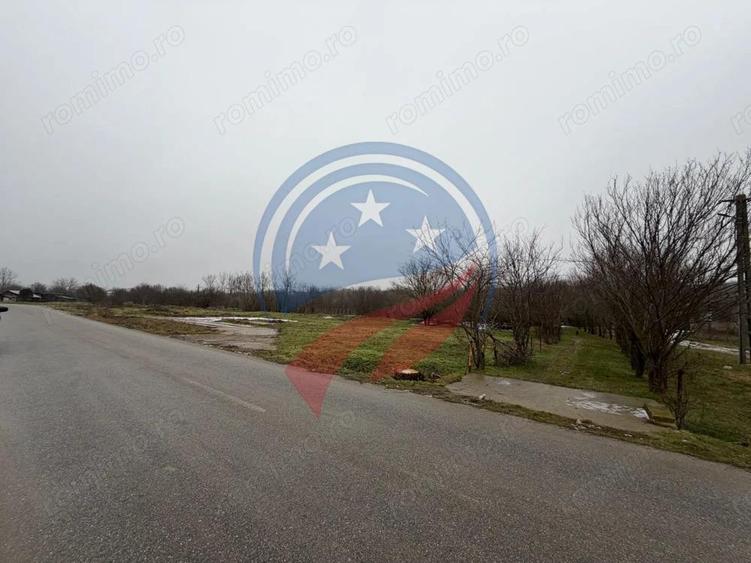 CASA CU TEREN 2500 MP LA 23 KM DE CRAIOVA CU TEAVA DE GAZE - 2