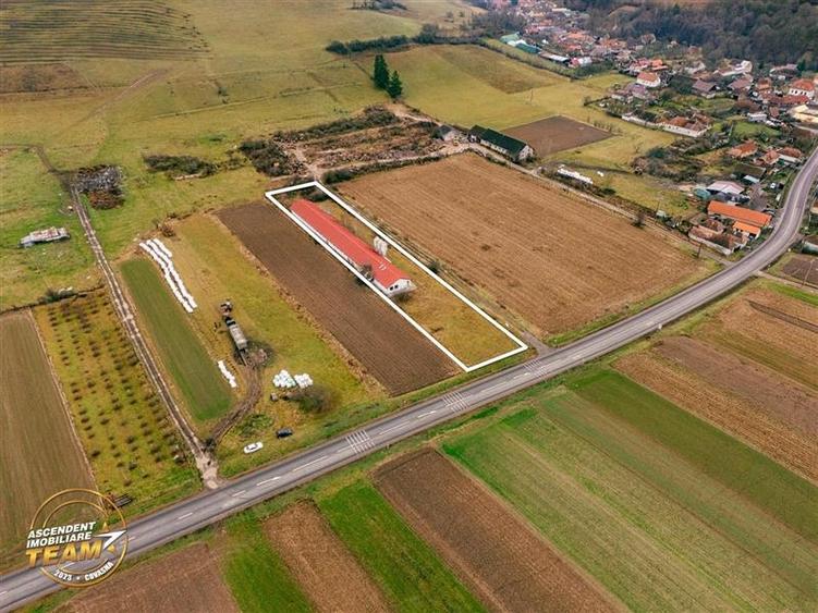 FILM! Ferma de iepuri,Malnas,Covasna: domeniu:industrial/comercial,asset UE - 20