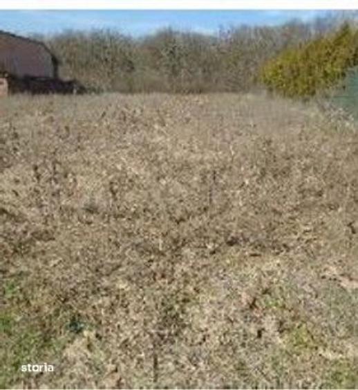 Teren Ganeasa, cota parte 1/2 ; ID: R2928516 - 5