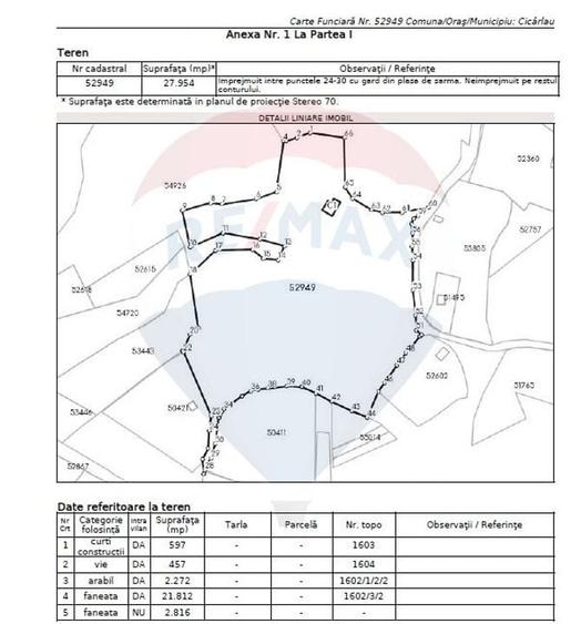 OCAZIE.  De vanzare teren în Cicarlau - Strada 1 Mai - super pret - 3