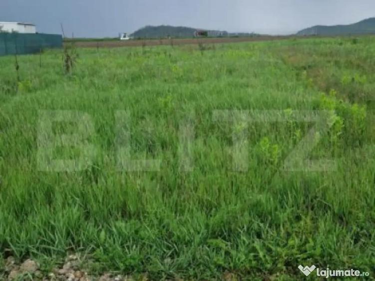 Teren pentru casa intravilan , 800 mp deschidere la drum Bod - 3