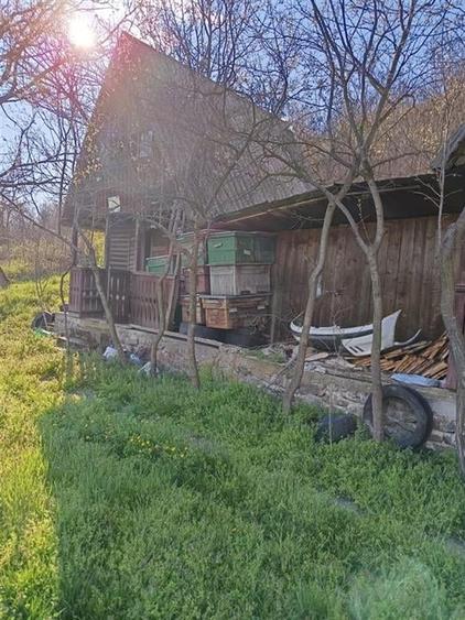 RECO TEREN GENEROS CU CABANA - 3