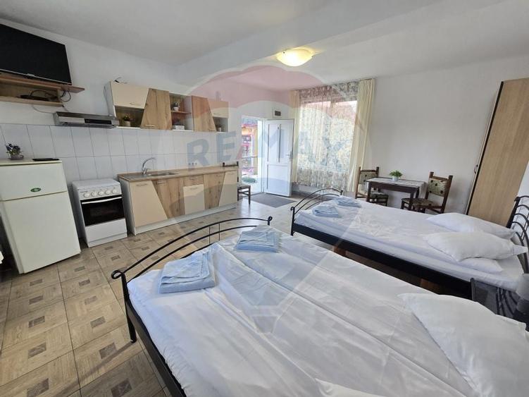 VILA ORHIDEEA  PENSIUNE  DE VANZARE IN STATIUNEA  PALTINIS JUD SIBIU - 21