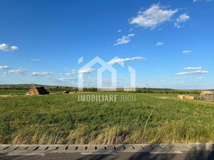 Teren INT construcție duplex / case cuplate 1503 mp - Jucu de Sus - 5