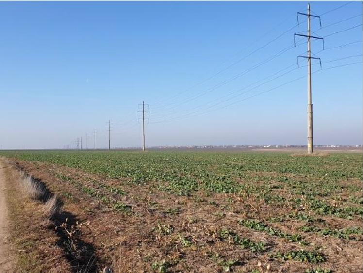 Teren intravilan 20.000 mp zona ANL Braila - 3