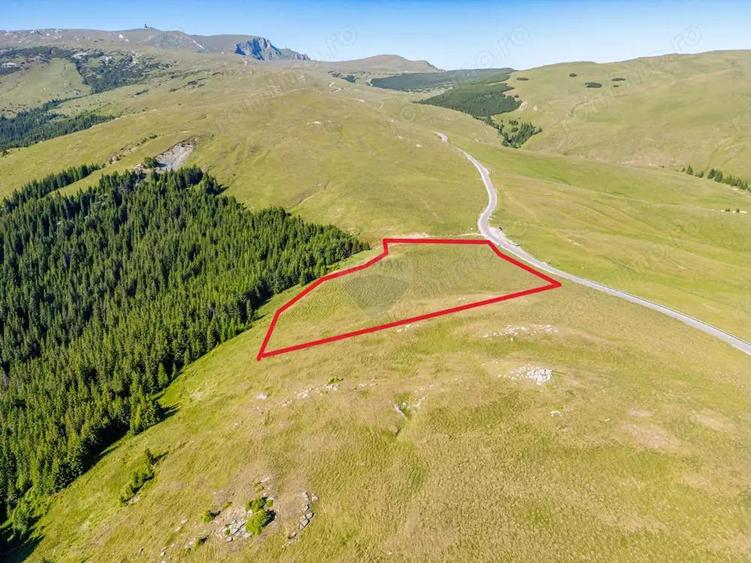 Teren intravilan Transbucegi / Oportunitate de dezvoltare Transbucegi - 9