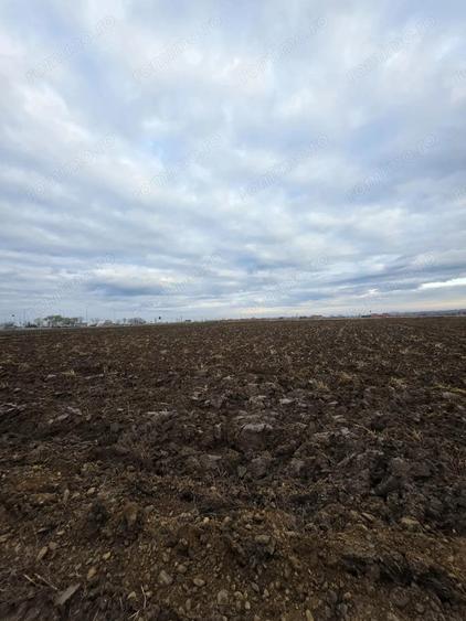 Teren la intrare in Biharia - 1