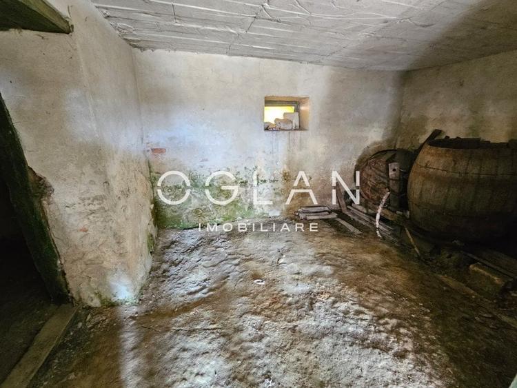 Casa individuala 3 camere, 1294 mp teren, Șeica Mare - 15