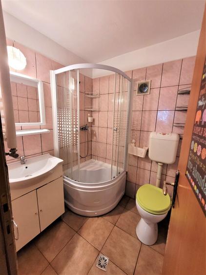 Casa pet friendly in Plopilor - 2