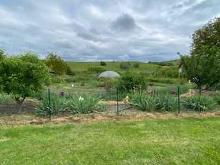 Proprietate de exceptie - 4