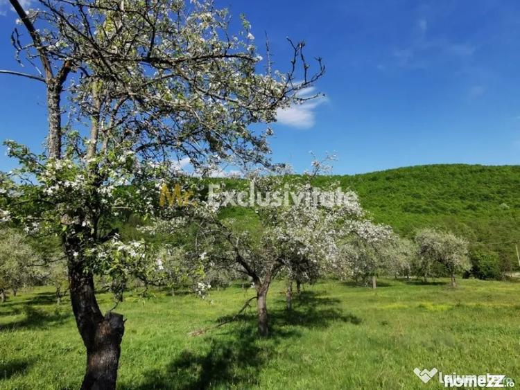 Teren în Budeasa