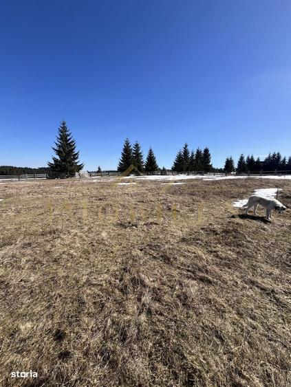 Teren Intravilan de 1000 mp , zona centrala , Copcea , Marisel - 5