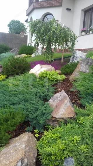 Casa/Vila 236 mp utili, 2743 mp teren, zona Mereni - Salcea - 12