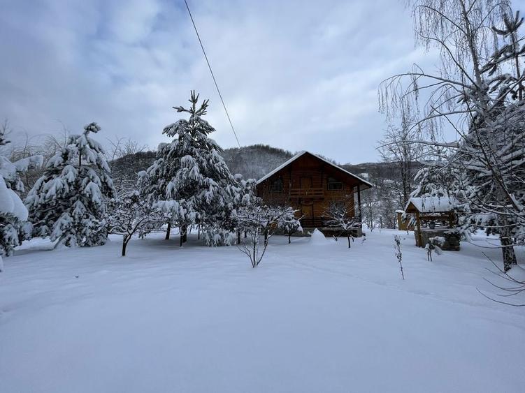 Cabana lemn langa rau, sat Costesti - 1