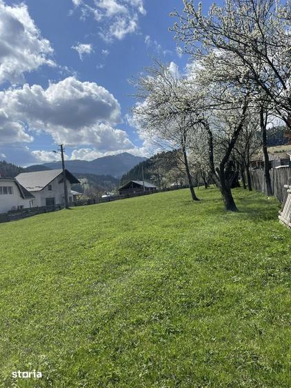 Teren intravilan ideal pentru investi?ie sau construc?ie! - 8