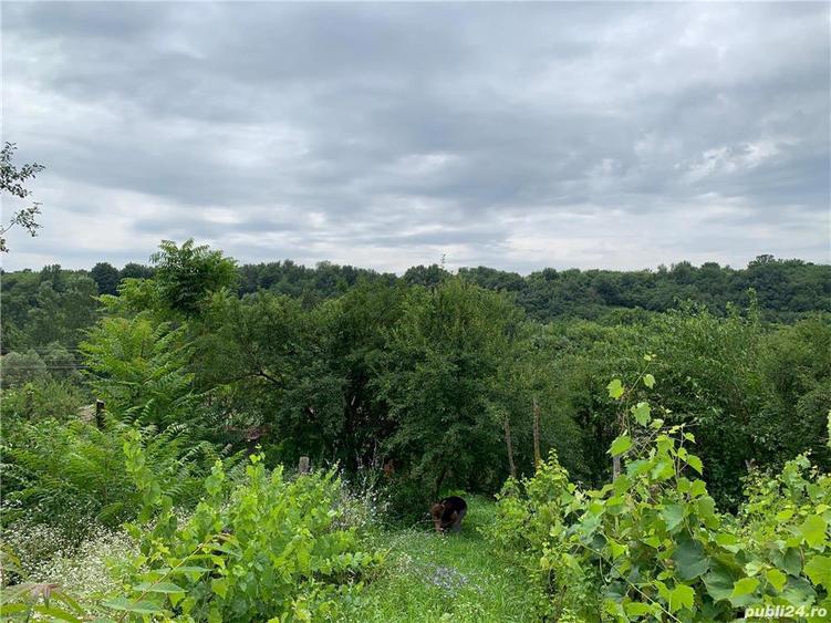 Casa si teren intravilan, Varvorul de Sus - 4