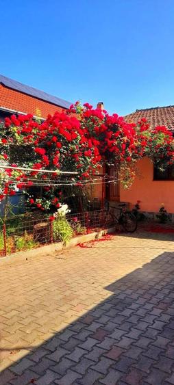 Casa de inchiriere - 2