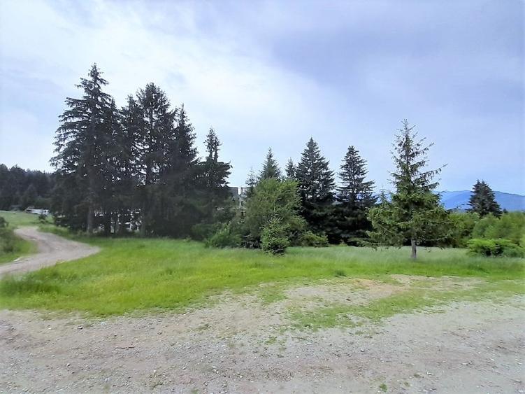 Vanzare teren intravilan Bran, 997 mp, D: 21.93 m, comision 0% - 2