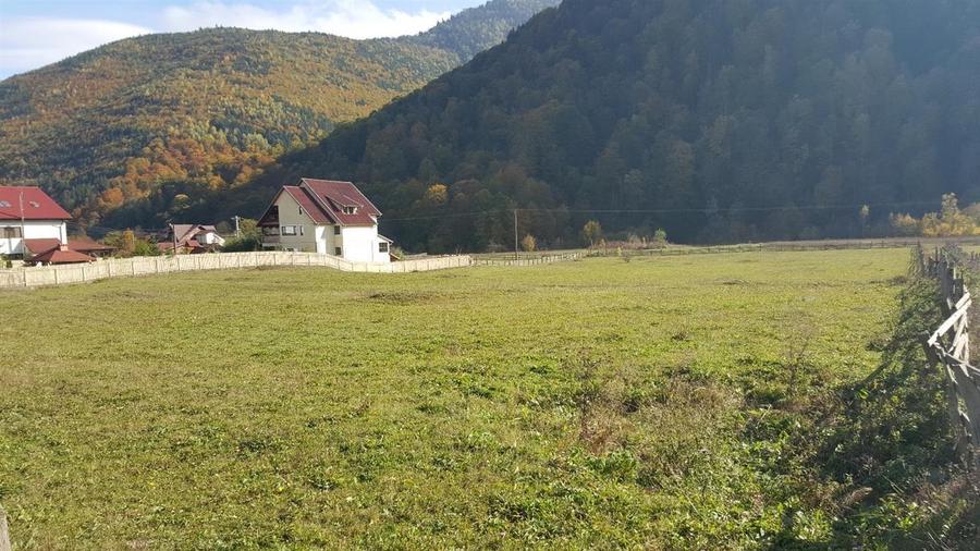 Teren extravilan Lepsa zona Casa Albert - 2