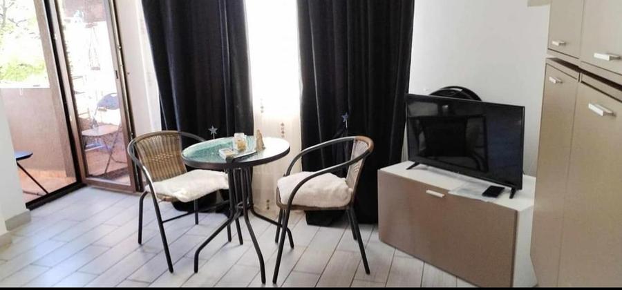 BUCSINESCU- T. VLADIMIRESCU ap. 1 camera, et.1/3, inchiriat, OCAZIE! - 6