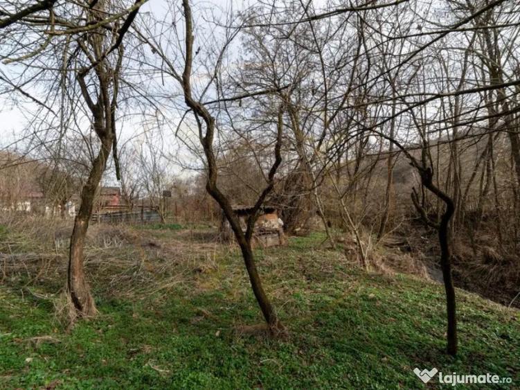 Teren de vanzare 1221 mp in Budeasa Mica, zona lini? - 7