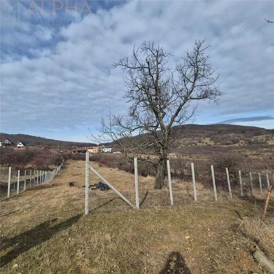 Teren extravilan de vanzare Bistrita, Valea Rusului - 5