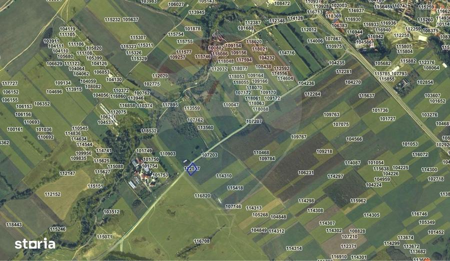 Teren Selimbar langa drumul spre Sopa - 2