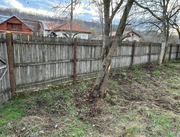 Teren intravilan, 1570 mp in sat Magura (Hulubesti), Dambovita, deschidere 31ml - 7